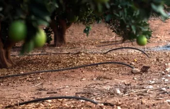 La Generalitat Valenciana aprueba ayudas para 30 proyectos de modernización de regadío