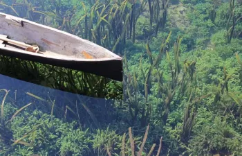 El mercurio, una amenaza persistente para el medio ambiente y la salud