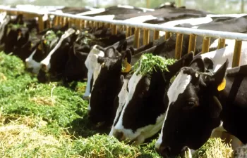 LIFE MANEV, evaluación de las tecnologías de tratamiento del estiércol para la protección medioambiental