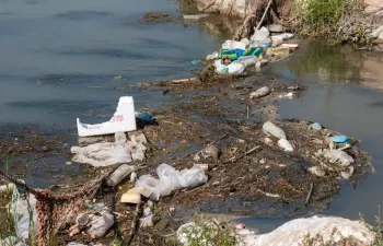 El papel de los ríos en el transporte de los residuos plásticos al mar