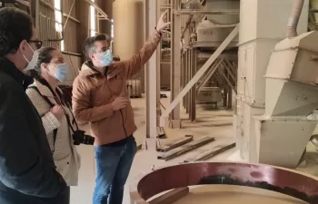 Ladrillos sostenibles gracias a LIFE HYPOBRICK