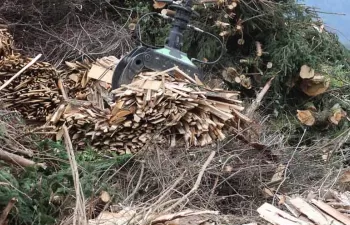 La CE aprueba un plan de 12,5 millones de euros para la producción de biomasa en Extremadura