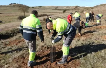 El proyecto \"Reforesta Zamora\" permitirá recuperar más de 10.000 m2 de superficie forestal