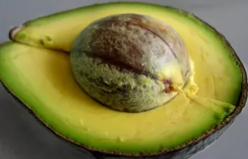 Identifican potencial para la industria farmacéutica en residuos de aguacate y mora