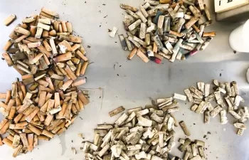 Eliminan las colillas de cigarro convirtiéndolas en bioplástico