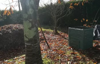 La Xunta de Galicia promueve un proyecto pionero de compostaje escolar