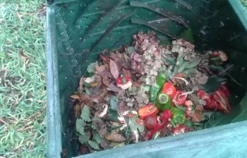 El concello de A Pobra do Brollón se une al programa de compostaje doméstico de Sogama