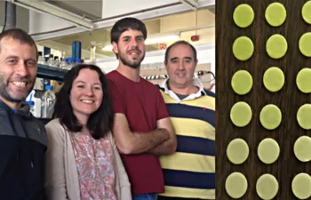 Investigadores de la UAB crean un biosensor microbiano de papel para detectar la toxicidad del agua