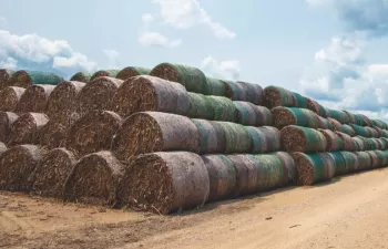 CIRCE lidera un proyecto europeo para impulsar el uso energético de los residuos leñosos agrícolas