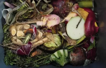 La Xunta pondrá sobre la mesa experiencias sobre gestión y prevención del desperdicio alimentario