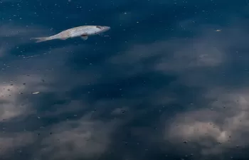 Una docuserie de Netflix como testigo del colapso de una ciudad de EEUU intensificada por una crisis del agua