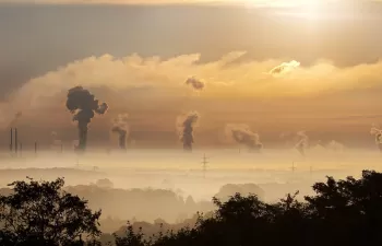 Seleccionadas 63 actuaciones en la séptima convocatoria de Proyectos Clima