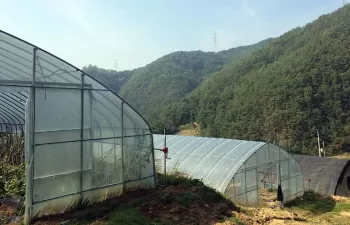 La Junta de Andalucía analiza con el sector agrícola nuevas iniciativas para la gestión de los residuos plásticos