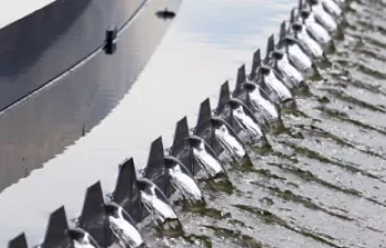 La UE impulsa la investigación en materia de agua con 50 millones de euros para nuevos proyectos de innovación