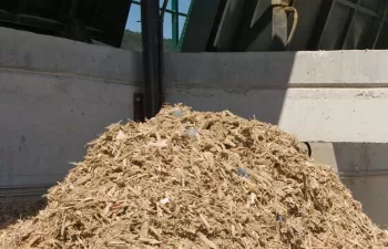 Navarra incrementa un 23% el uso de la biomasa forestal para calefacción y usos industriales