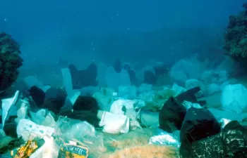 PolyTalk 2018: \"Together we must save our oceans from litter\"