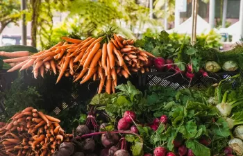 Cinco reglas para elegir alimentos que mejoren su salud y la del planeta