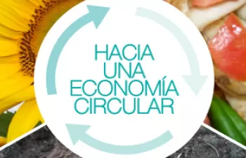 El Gobierno Vasco da luz verde al nuevo Plan de Prevención y Gestión de Residuos 2020