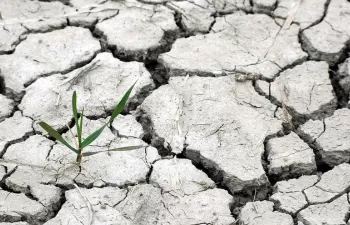 El proyecto andaluz de Ley de Cambio Climático inicia los trámites para su aprobación definitiva