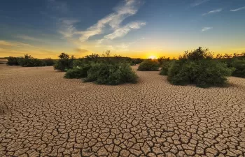 El suelo y la atmósfera interactuan promoviendo las sequías