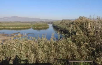 Impulso a la recuperación de la Marjal del Moro