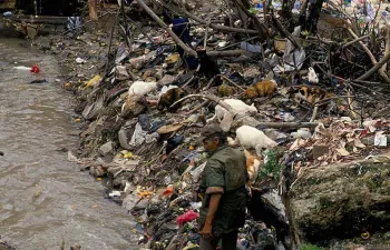 La degradación ambiental causa tantas muertes prematuras al año como los conflictos
