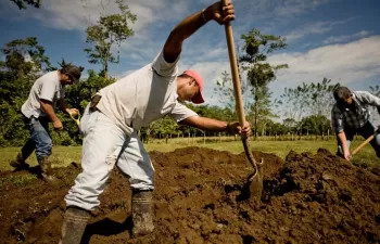 Ni el Estado ni el mercado: ¿quién le está dando agua a 70 millones de latinoamericanos?