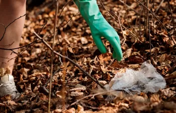 Publicada la directiva de protección de personas que informen de infracciones ambientales