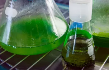 Seis centros tecnológicos participan en el proyecto CYCLALG para desarrollar una biorrefinería a base de algas