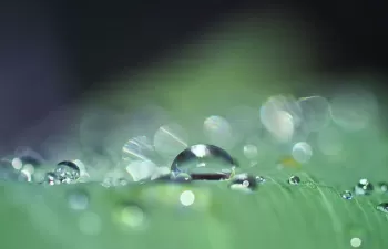 Extrayendo agua del aire contra la sequía y la contaminación