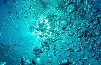 Nuevos procesos para el tratamiento de efluentes industriales complejos