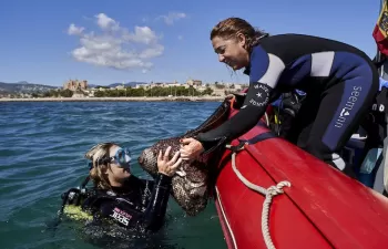 Los Héroes LIBERA caracterizan cerca de 20.500 residuos en la última edición de '1m2 por las playas y los mares'