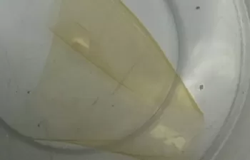 Caña de azúcar para mejorar las propiedades del papel reciclado