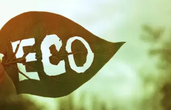 Consumo responsable: guía básica para interpretar las ecoetiquetas