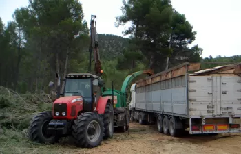 Andalucía fomenta la economía verde con el aprovechamiento de la biomasa de montes públicos