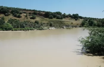 La Junta de Andalucía abre diligencias previas al expediente sancionador por el vertido de orujo al Guadalquivir