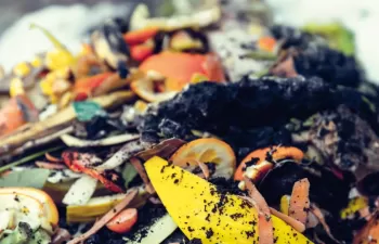 Digestión Anaerobia en un sistema descentralizado y circular a micro escala: prueba piloto en Cataluña