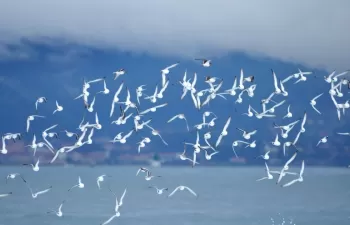 El Foro de Economía del Agua reivindica la adecuada gestión hídrica para el Día de la Diversidad Biológica