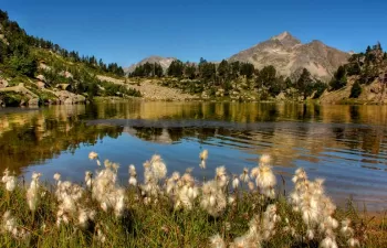Los parques de Cataluña organizan una decena de actividades por el Día Mundial de los Humedales