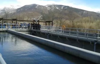 El 76,5 % de los contribuyentes zaragozanos pagan el Impuesto sobre la Contaminación de las Aguas