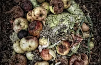 Un innovador concepto de biorrefinería transformará los residuos en nuevos productos biotecnológicos