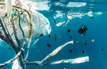 Cómo los países pueden revertir la marea del plástico