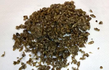 Un proyecto de la UVa estudia producir biobutanol de los residuos de la cerveza