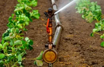 Diseñar herramientas adaptables a las necesidades del regadío para reducir el consumo energético