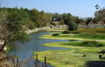 El Ebro tiene problemas para respirar, según un estudio del CSIC y la Universidad San Jorge