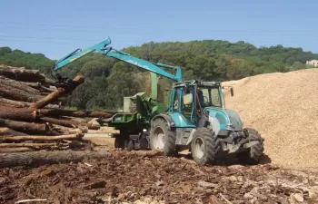 Extraer biomasa para usos energéticos, una estrategia eficaz de prevención de incendios