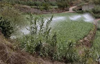 El Gobierno de Canarias concede 8 millones en ayudas para abaratar el agua de uso agrícola