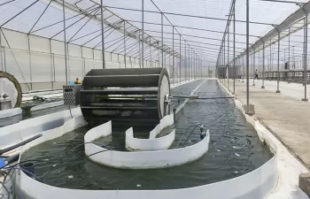 Depuradoras de microalgas: ahorran energía, absorben CO2 y producen fertilizantes sostenibles