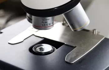 Los hongos podrían ayudarnos a combatir la contaminación por plásticos