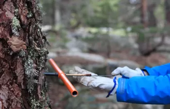 Primera radiografía de las sequías de los últimos 318 años en España